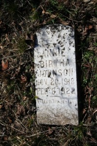 Annie Birtha Johnson's gravestone, - Robinson Cemetery