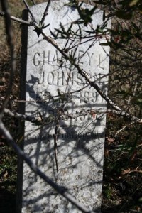 Charley L. Johnson's gravestone - Robinson Cemetery